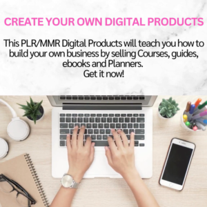 How to Launch a Profitable Dropshipping Business: PLR eBook Included