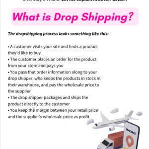 How to Launch a Profitable Dropshipping Business: PLR eBook Included
